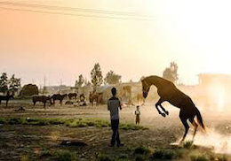 بیشترین سهم از جوایز بخش مستند سینمای ایران برای فیلم «آتلان»  آتلان