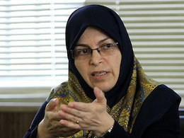 از خدشه در سلامت انتخاباتها تا تمسخر فرزندآوری منصوری