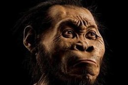 کشف گونه جدید انسان!+ عکس انسان اولیه