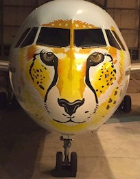 یوز ایرانی پرواز کرد+تصاویر  هواپیمای یوز ایرانی