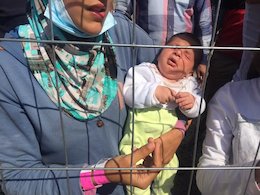 پناهجویان سوری در قفس +عکس 123