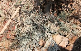 اسامی ۶ نفر از کشته شدگان سیلاب اخیر تهران  پاکدشت پس از سیل