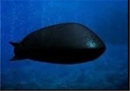 آنچه که باعث هراس پنتاگون شد+عکس  زیردریایی کنیون