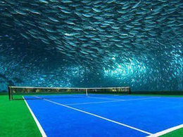 رد پای آقا زاده معروف در ورزش/ حضور در المپیک زمستانی با منابع مالی مبهم! 
 ورزشگاه تنیس