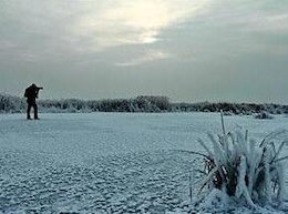 بام ایران در آستانه یخ زدگی!+عکس بام ایران