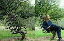 صندلی زنده!/عکس صندلی زنده