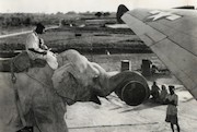  بارگیری هواپیما توسط فیل 