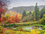 رنگ آمیزی زیبای طبیعت در فصل پاییز