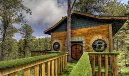 اجاره این خانه شبی ۲ میلیون و ۴۰۰ هزار تومان!+ تصاویر خانه درختی