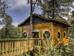 اجاره این خانه؛ شبی ۲۴۰۰۰۰۰ تومان!+تصاویر خانه درختی