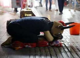 دختری که بخاطر پدرش گاو میشود/عکس دختری که بخاطر پدرش گاو میشود