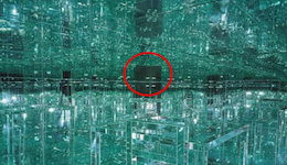 عکسی که ۵۰ سال همه را بهت زده کرد! عکس عجیب