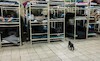 بازدید اعضای شورای شهر از محله هرندی وگرمخانه خاوران