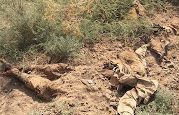 کشف اجساد داعشی های چینی+تصاویر اجساد داعشی