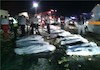 ۲۰ کشته در برخورد خونین مینی‌بوس با کامیون و سواری