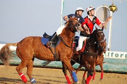 عجیب ترین ورزش دنیا!  هورسبال