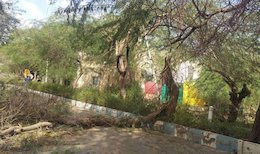 هشدار سازمان هواشناسی برای روزهای آتی/ در حد امکان از سفر به غرب و جنوب غرب کشور خودداری شود
 طوفانی با سرعت 140 کیلومتر در کیش