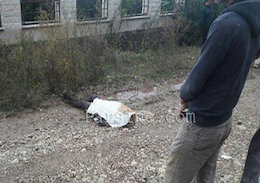 قتل بی رحمانه دختر جوان در نوشهر+عکس  قتل