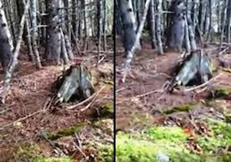 لحظه نفس کشیدن زمین!+تصاویر  لحظه نفس کشیدن زمین