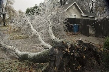 هشت کشته براثر «طوفان یخ»/تصاویر طوفان یخ