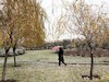 برف پاییزی در تهران