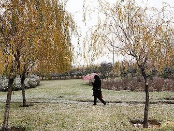 برف پاییزی در تهران