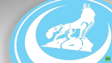 گرگ های خاکستری ترکیه