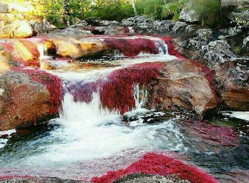 فانتزی ترین رودخانه دنیا/تصاویر  زیباترین رودخانه دنیا