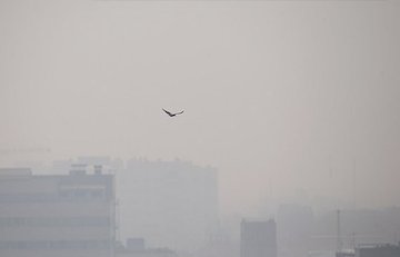 شدت آلودگی هوا در تهران