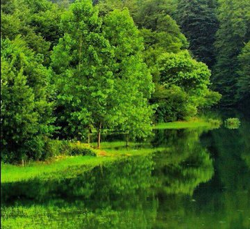 دریاچه رویایی و شگفت انگیز در مازندران/عکس  دریاچه الیمالات