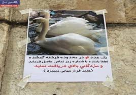 گمشده عجیب خیابان فرشته!/عکس آگهی گمشده