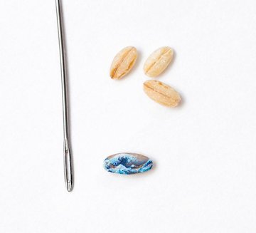 نقاشی های معروف روی تخمه کدو