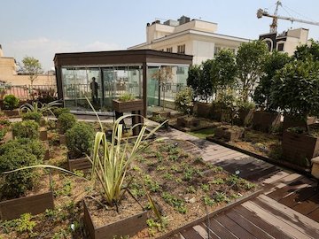  حیاط هایی که به پشت‌بام رسیده‌اند