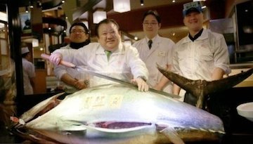 ماهیِ ۳۵۰۰۰۰۰۰۰ تومانی!/تصاویر  ماهی تن