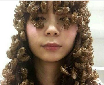 چندش آورترین عکس دنیا! سوسک