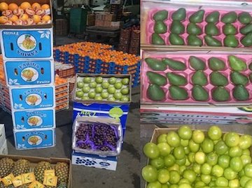 مصرف میوه و سبزیجات بیشتر احتمال چاقی را کاهش می دهد میوه
