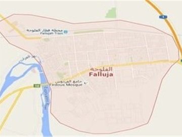 غیرت مردم فلوجه علیه داعشیها به جوش آمد فلوجه