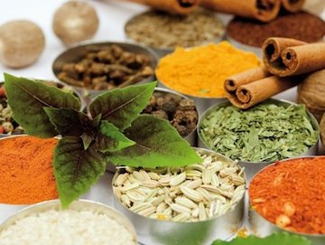 دستورالعمل تعهدات متخصصان طب سنتی اعلام شد طب سنتی