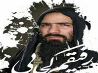 «امیر» شهادت را بیشتر از من دوست داشت شهید امیر سیاوشی.jpg