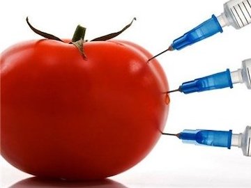 مرگ خاموش محصولات ارگانیک و توزیع زیرپوستی تراریختهها تراریخته43