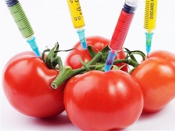 همپیمانی اساتید طب سنتی برای مقابله با معاملهگران تراریخته تراریخته.jpg