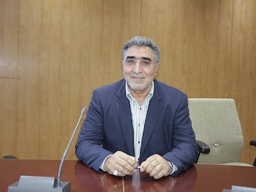 دولت استراتژی برای ساماندهی بازار ندارد قلی زاده43