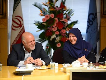 کاهش ۶۰ درصدی سود یکی از قدیمیترین پتروشیمیهای کشور در دولت یازدهم! زنگنه