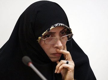 امیدواریم سال ۹۶ شاهد رونمایی از «قانون جامع آب» باشیم امین زاده 43