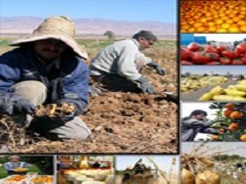 ارادهای برای کنترل نهادههای دامی وجودندارد کشاورزی