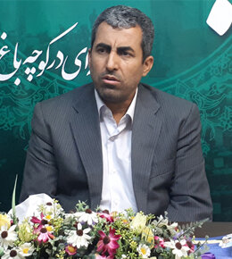 شرط ورود مجلس آینده به موضوع دهکهای پایین فاقد سهام عدالت پور ابراهیمی