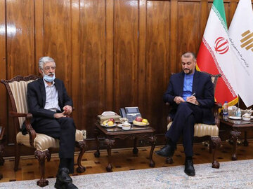 آمادگی وزارت امور خارجه برای توسعه زبان فارسی در خارج از ایران حداد عادل_ امیرعبداللهیان