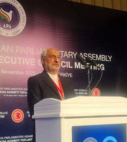 مجالس آسیایی بحران غزه را در اولویت برنامه های خود قرار دهند
 زاهدی