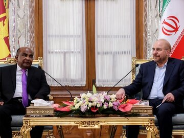 قالیباف: باید به سمت تسهیلگری در روابط اقتصادی، سیاسی، تجاری، فناوری و خدمات مهندسی برویم/ ماهیندا یاپاابیواردانه: نقش روابط پارلمانی در توسعه پروژههای مشترک مؤثر است قالیباف و رئیس جمهور سریلانکا