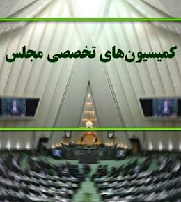 ۱۰ وزیر در کمیسیونهای مجلس حاضر میشوند کمیسیون تخصصی مجلس